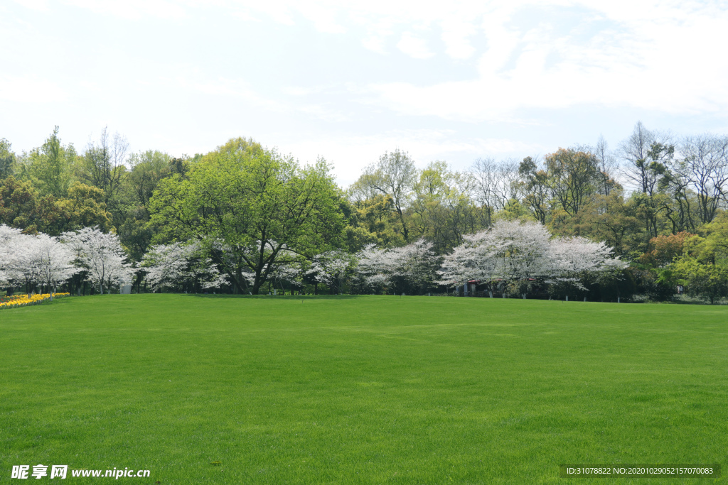 大自然风景摄影