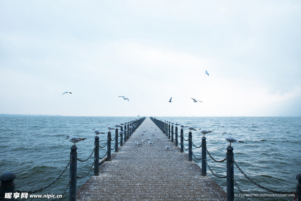 大自然风景摄影