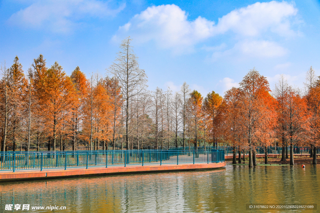 大自然风景摄影