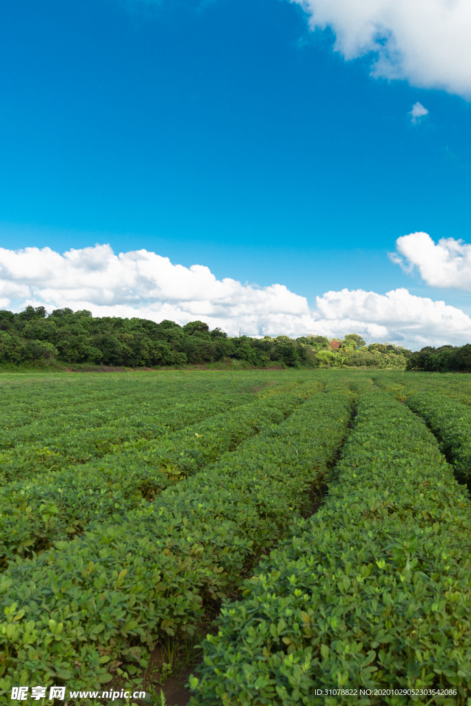 大自然风景摄影