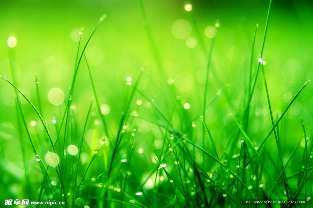 大自然风景摄影