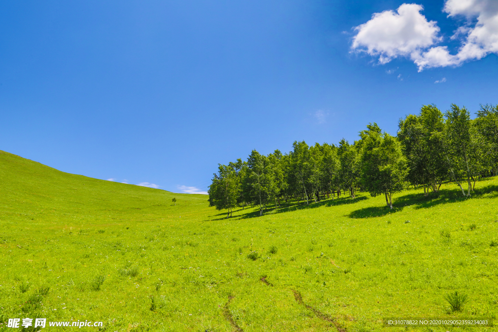 大自然风景摄影