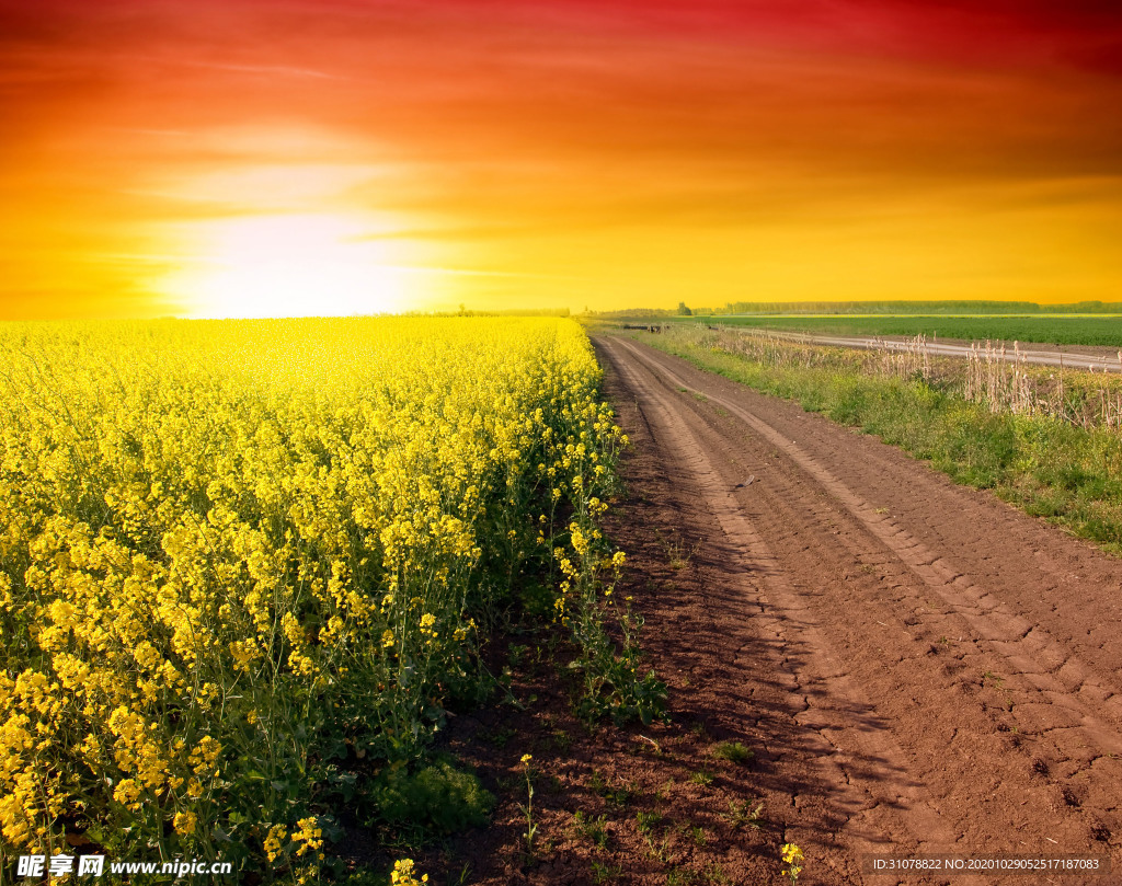 大自然风景摄影
