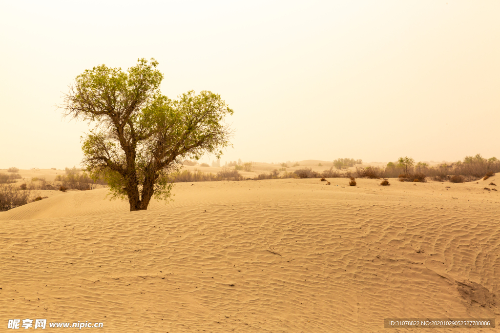 大自然风景摄影