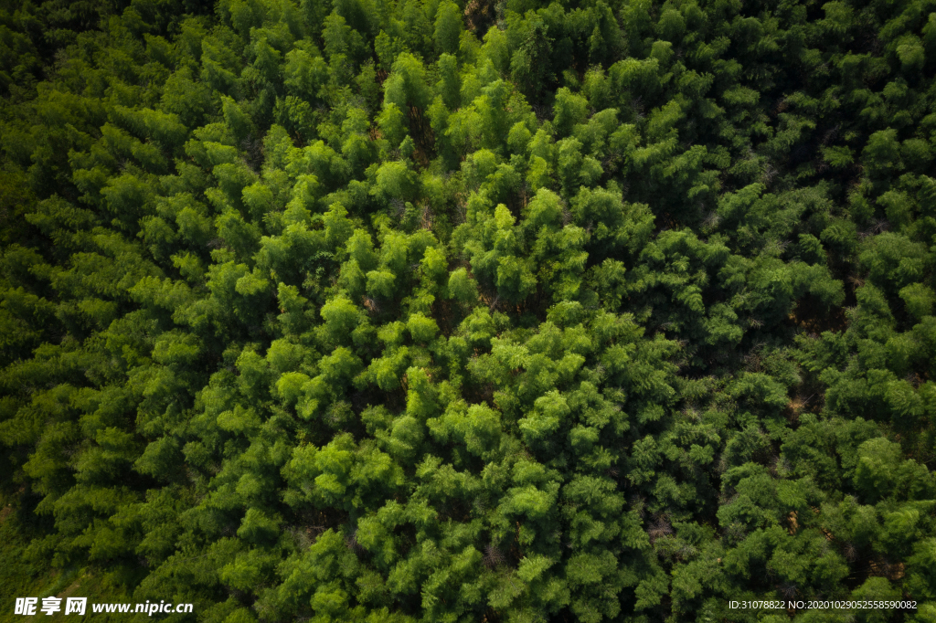 大自然风景摄影