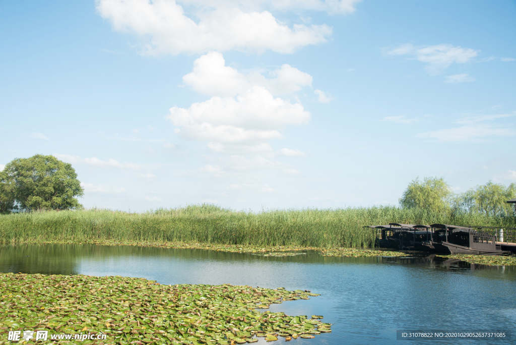 大自然风景摄影