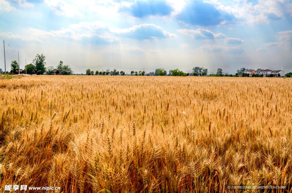 大自然风景摄影