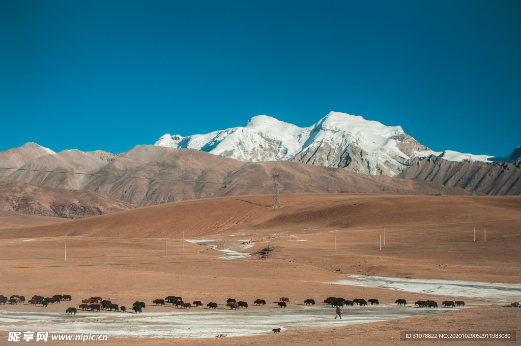 大自然风景摄影