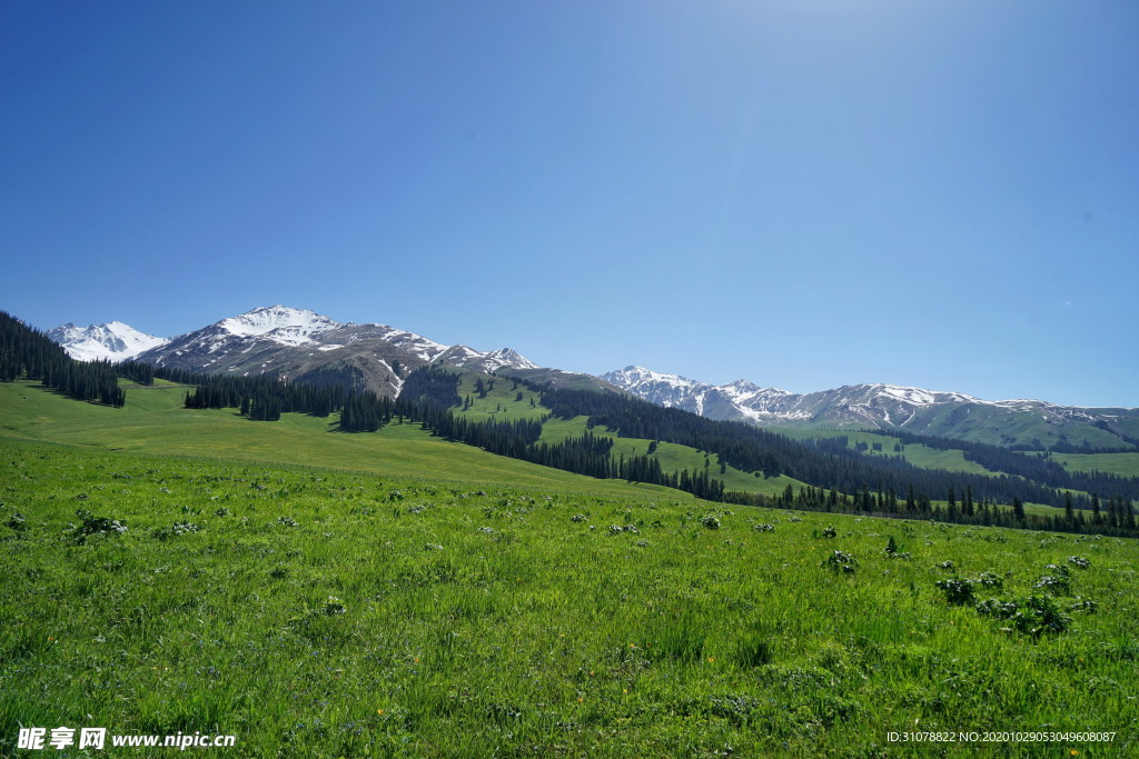 大自然风景摄影