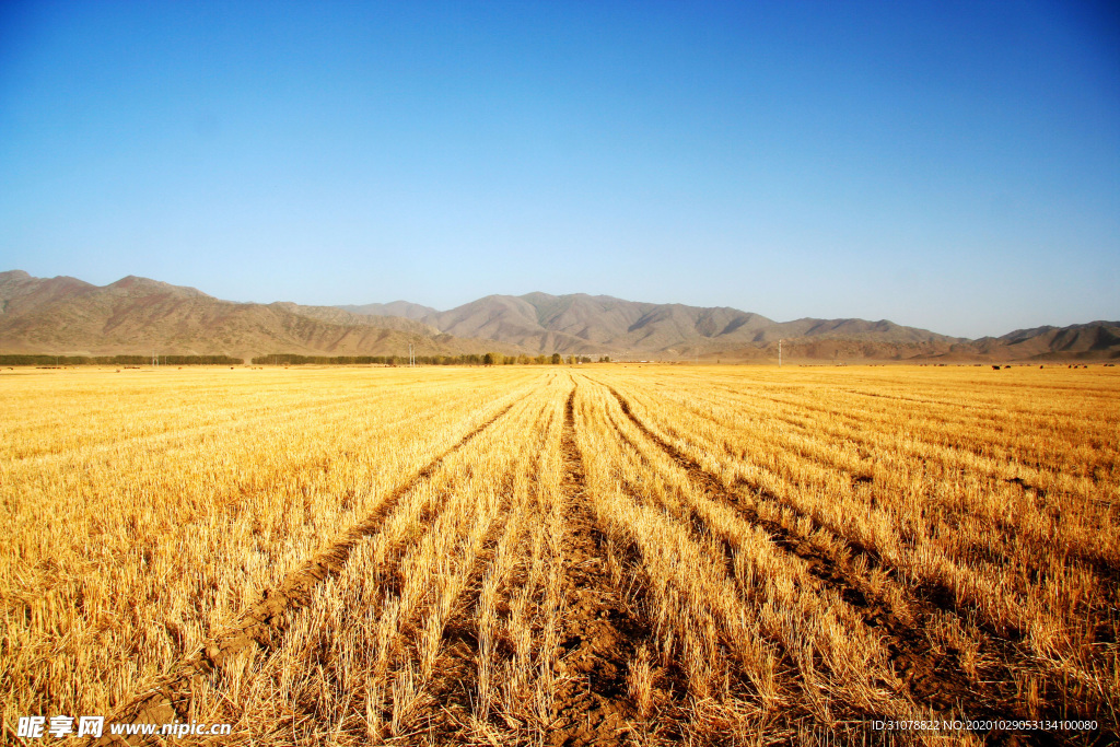 大自然风景摄影