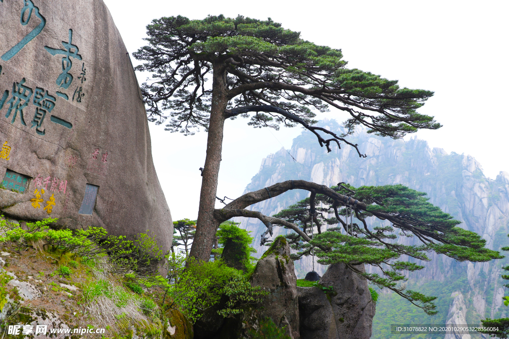 大自然风景摄影