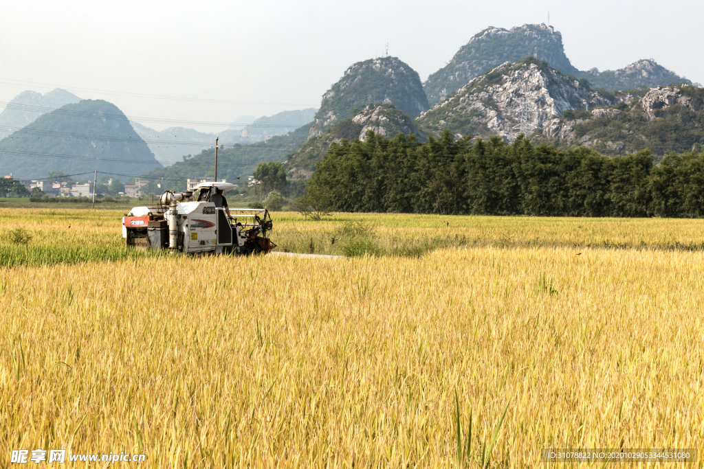 大自然风景摄影