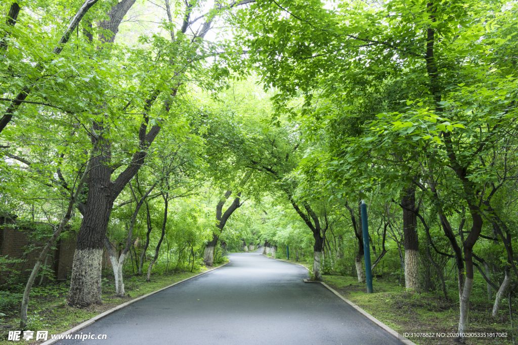 大自然风景摄影