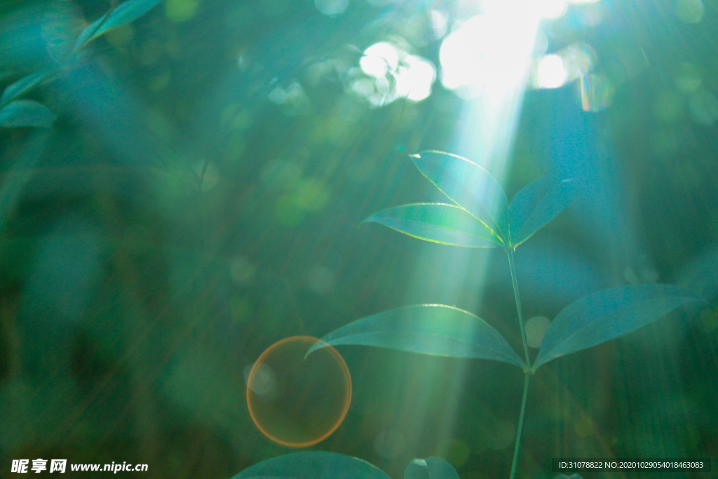 大自然风景摄影