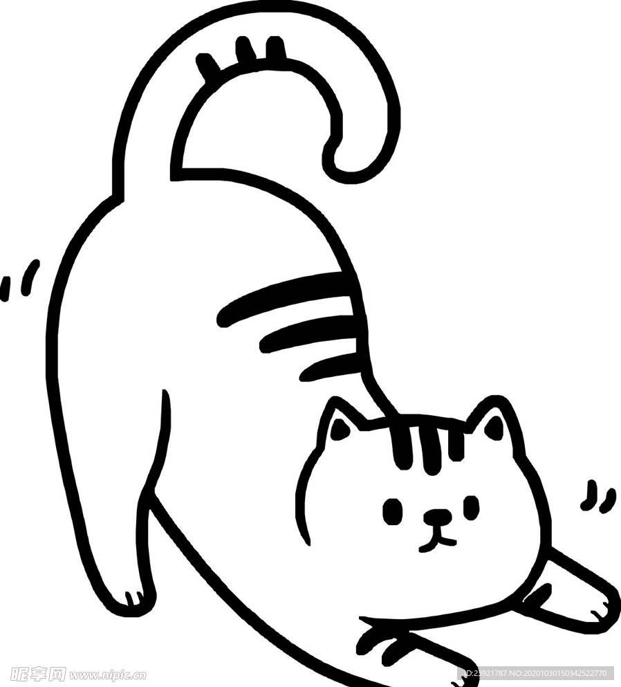 猫