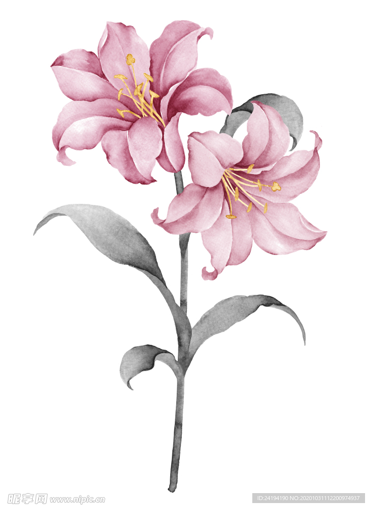 水仙花