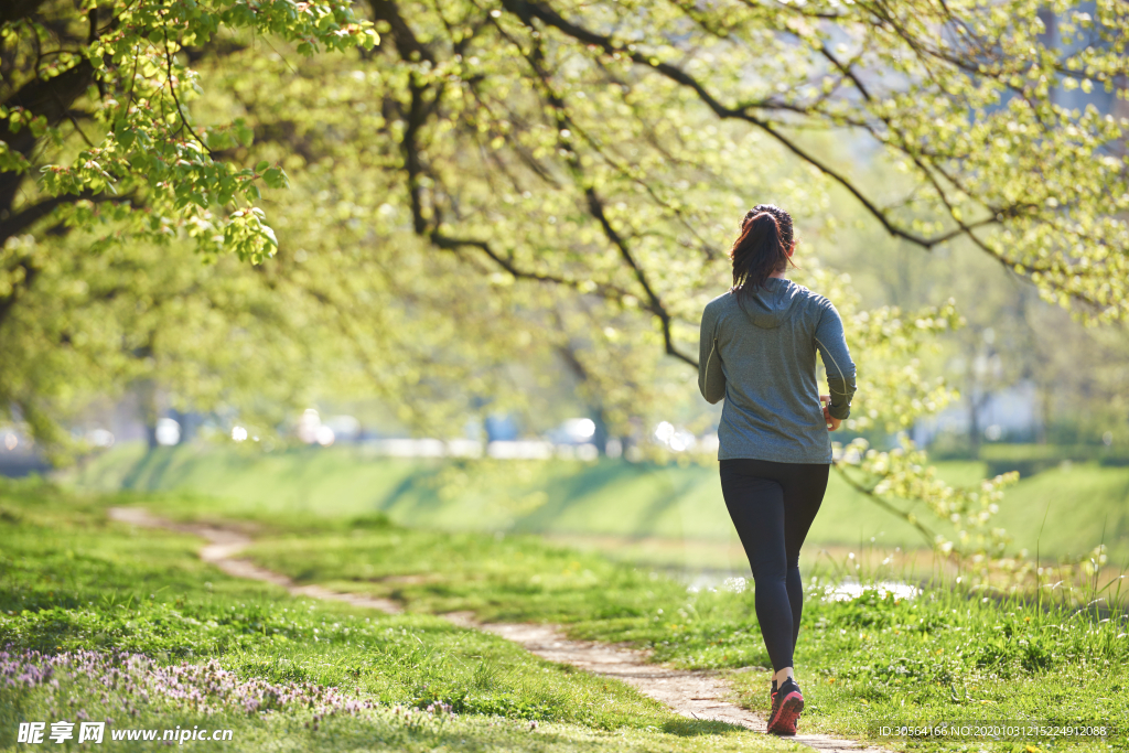 森林慢跑女性运动背景海报素材