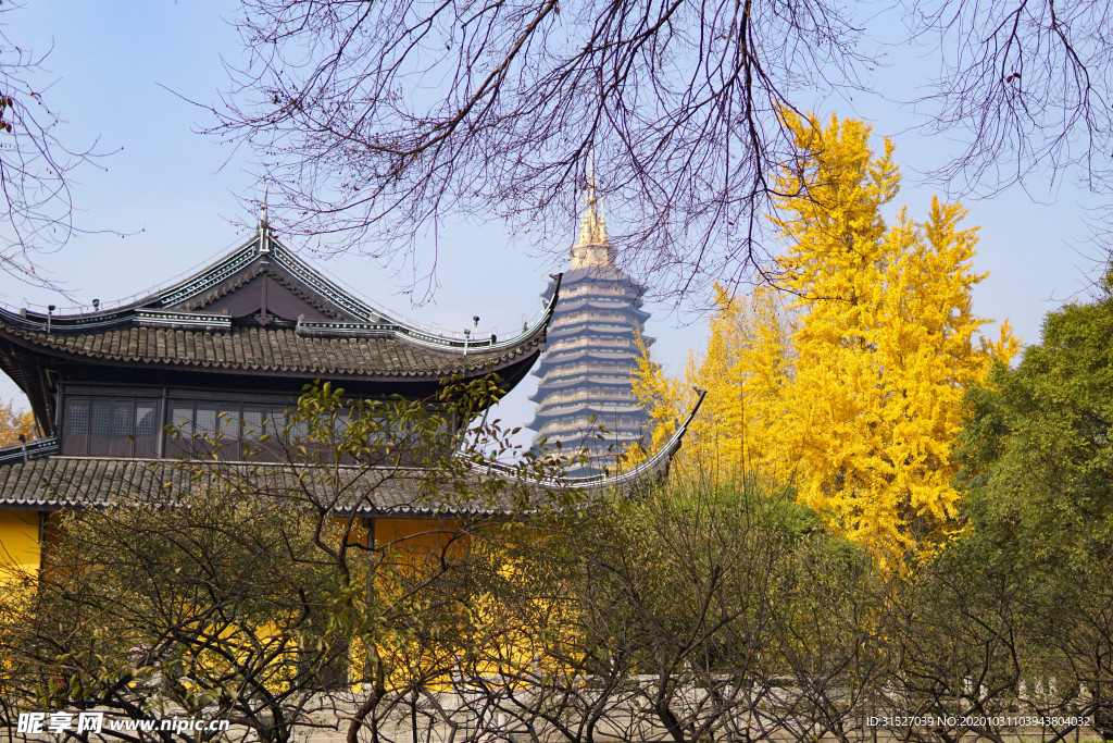 古代建筑园林里的银杏叶