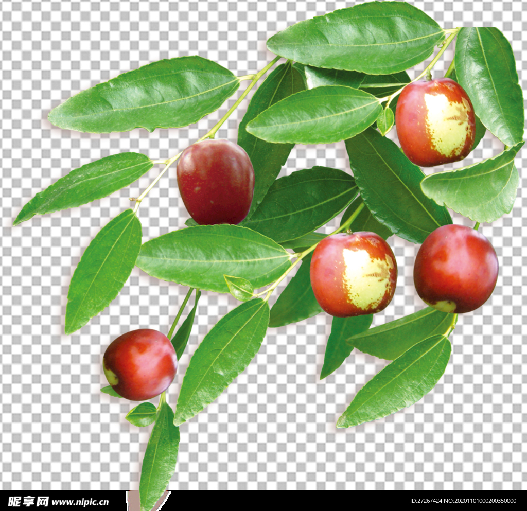 透明底水果 枣子