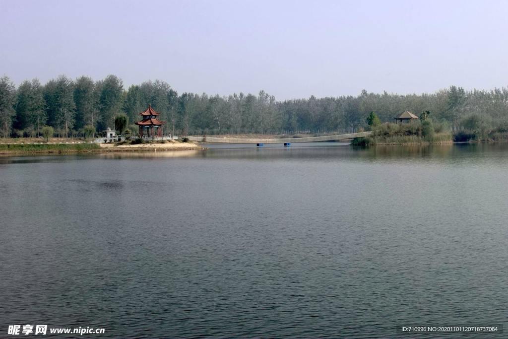 宿迁古黄河森林公园