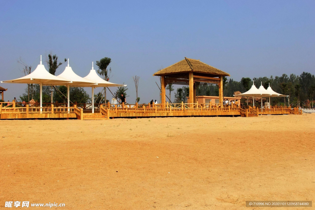 东明黄河森林公园