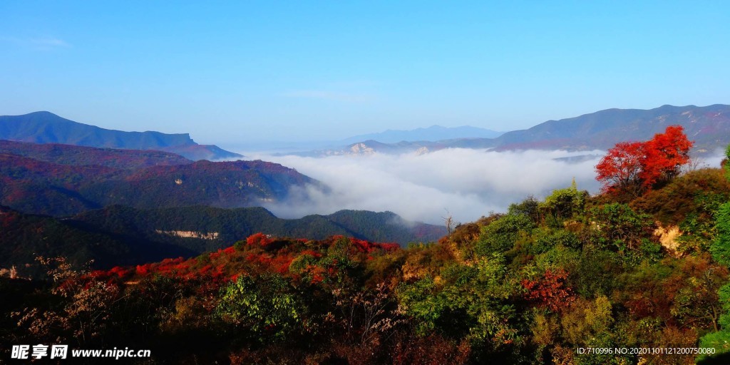 黄河峡谷游览区