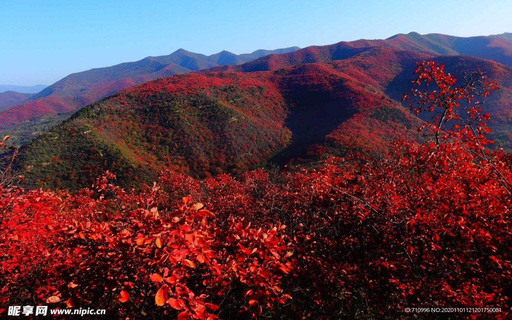 黄河峡谷游览区