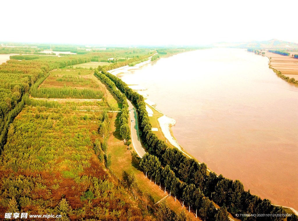 东阿黄河国家森林公园景色怡人