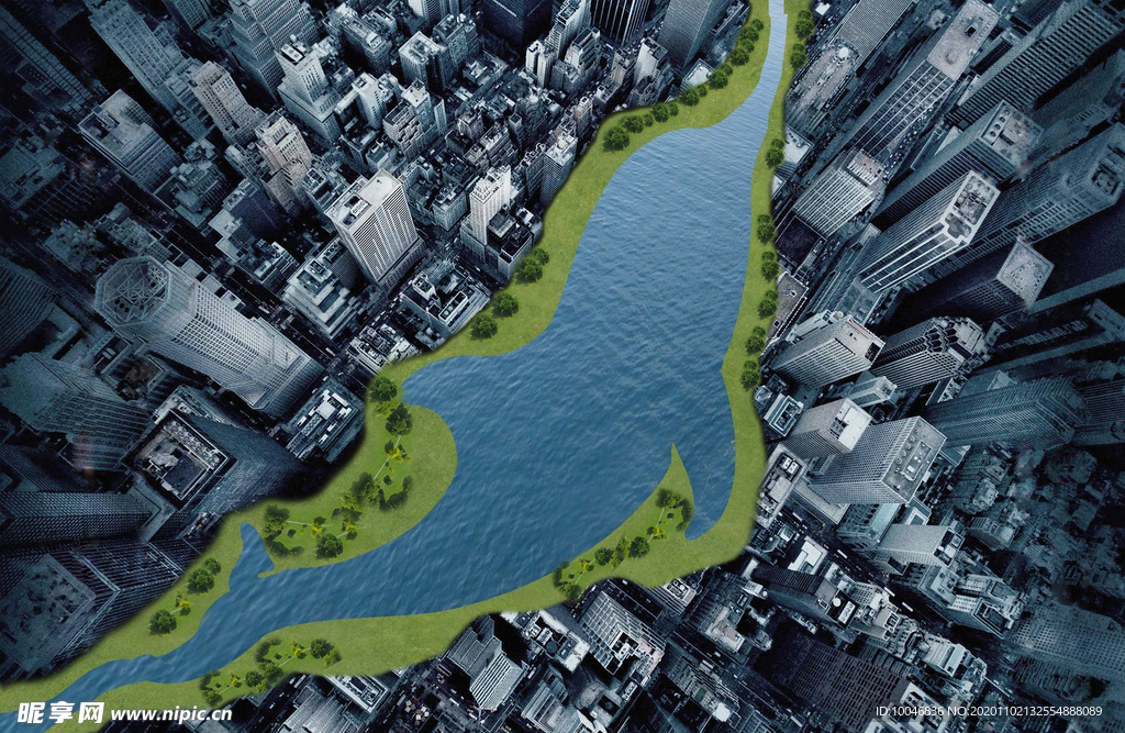 城市海豚