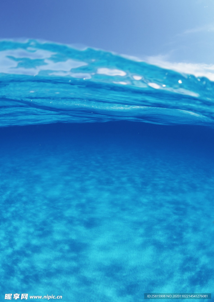 大海