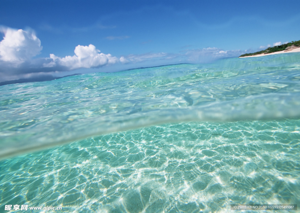 海水