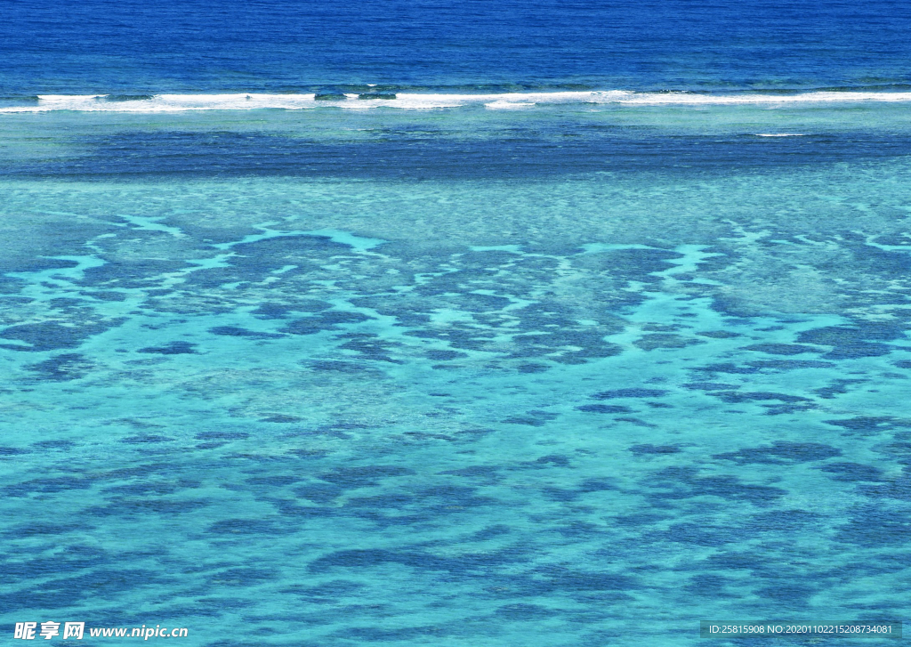 海水