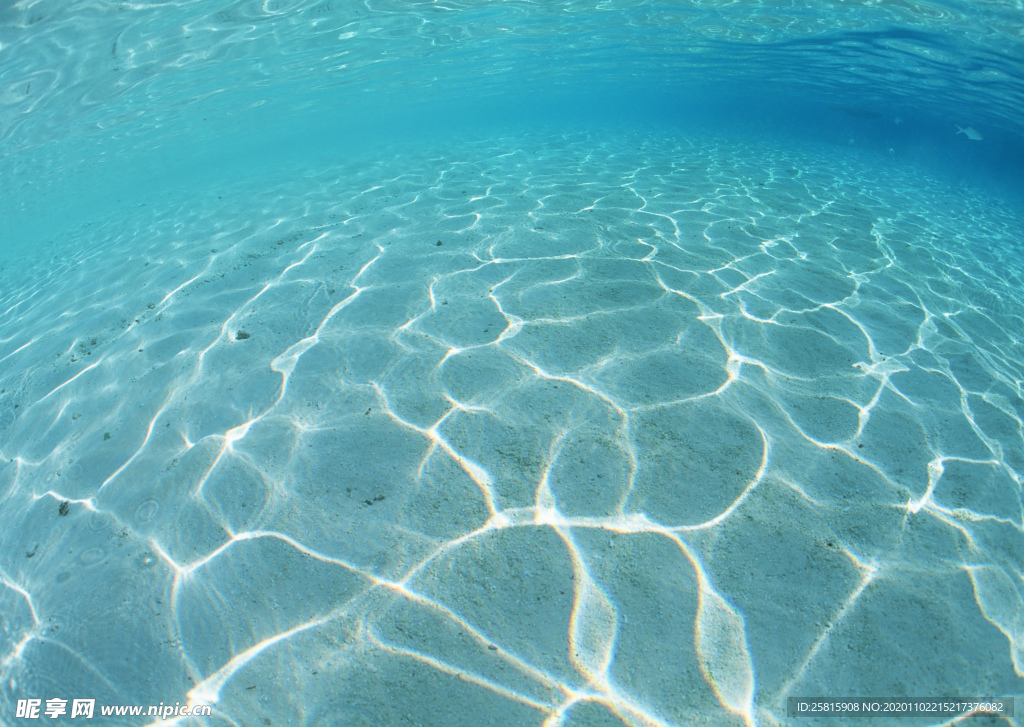 海水