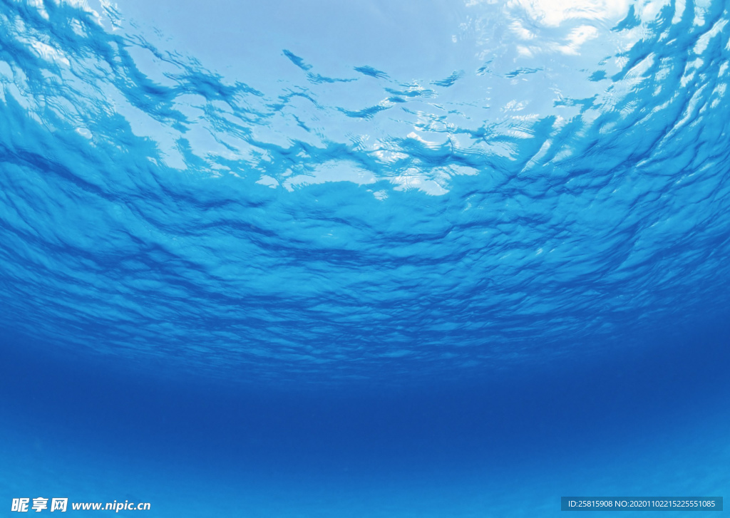海水