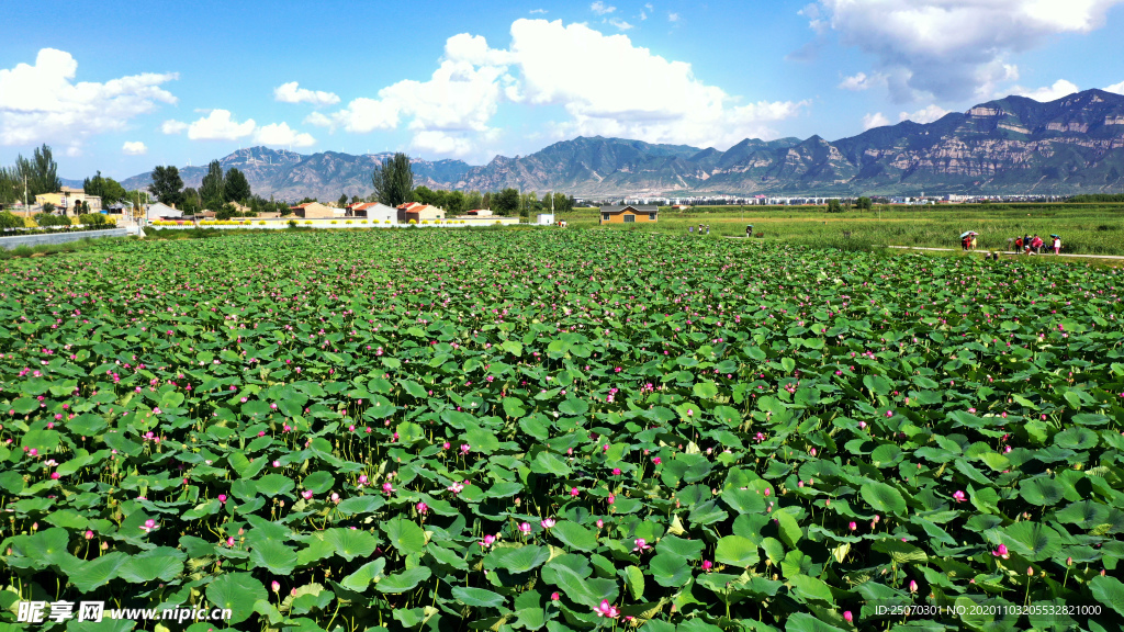 浑源桑干河湿地公园