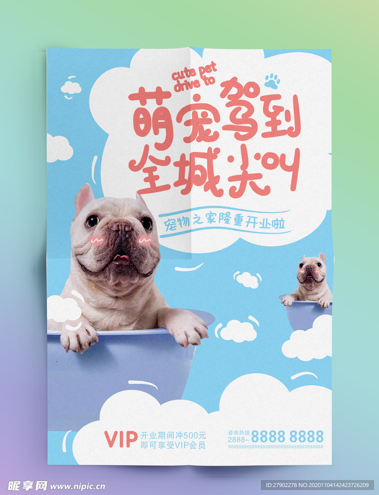 宠物店海报