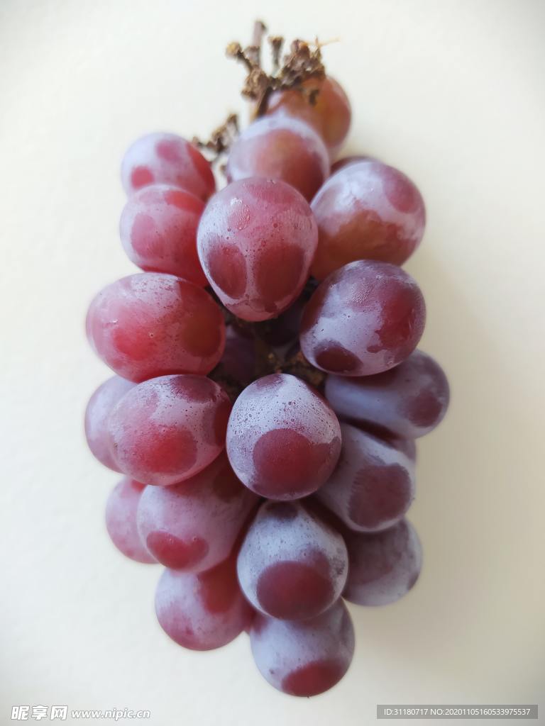 葡萄