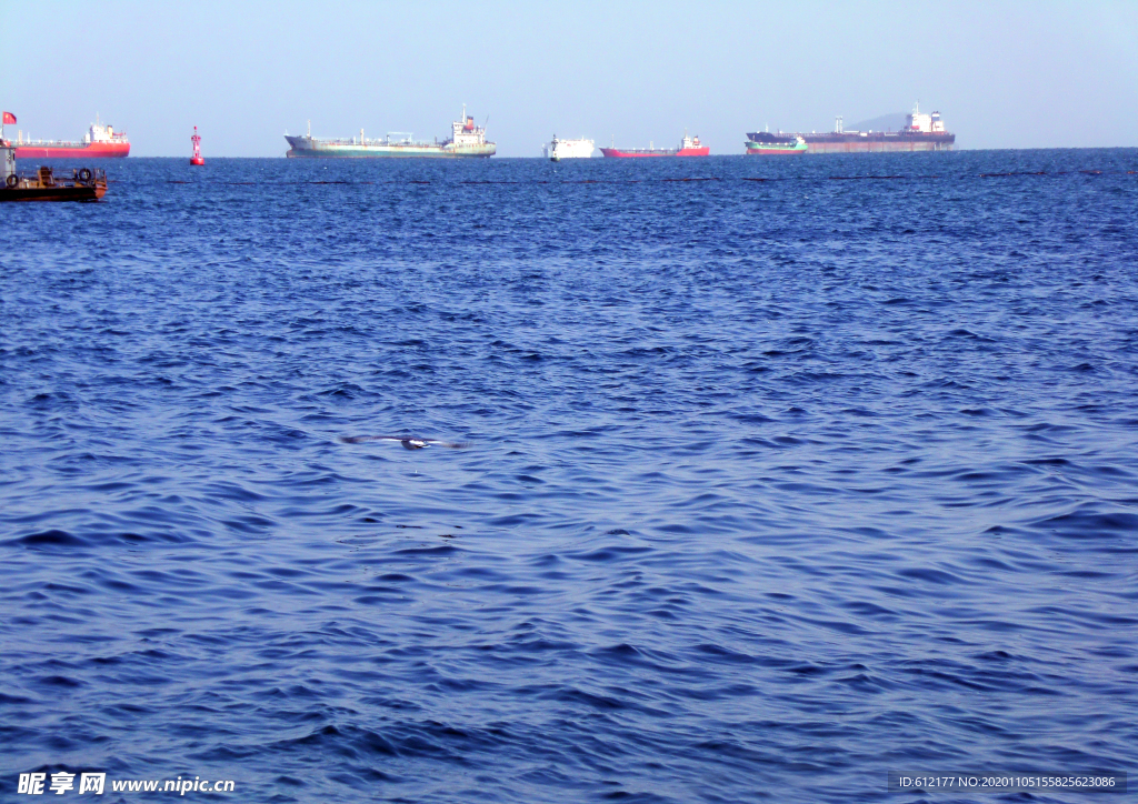 海与远方的轮船