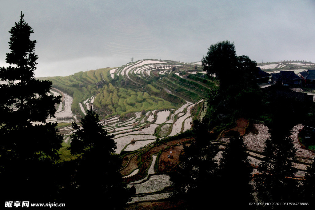 梯田风景