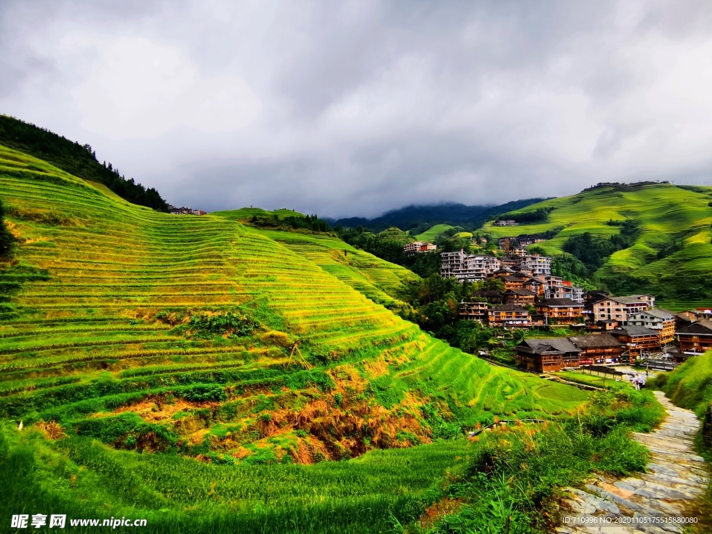 梯田风景