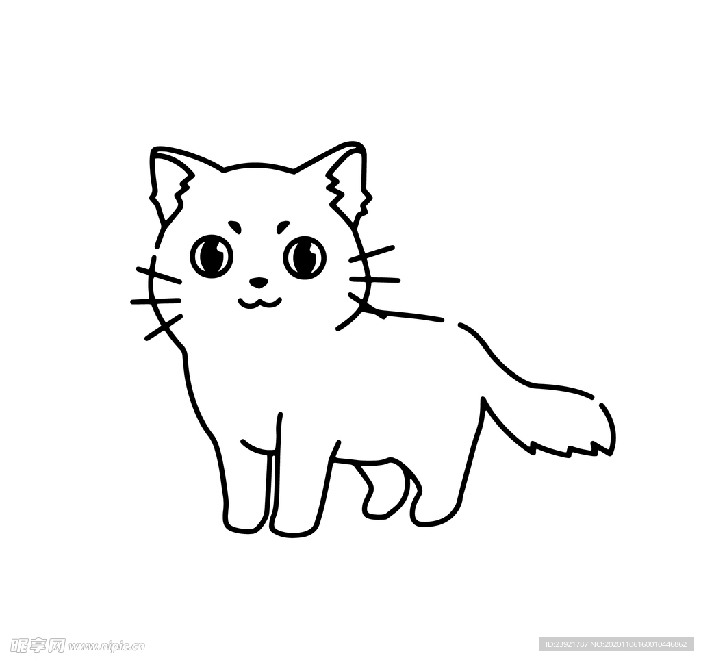猫