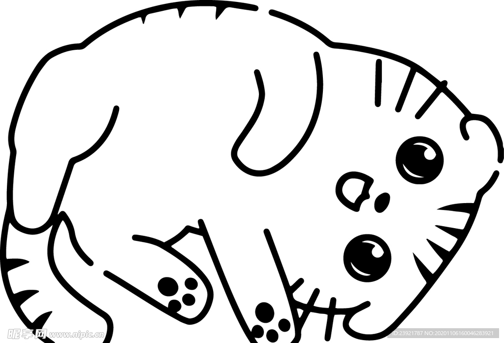 猫