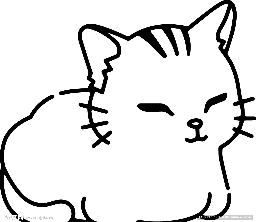 猫