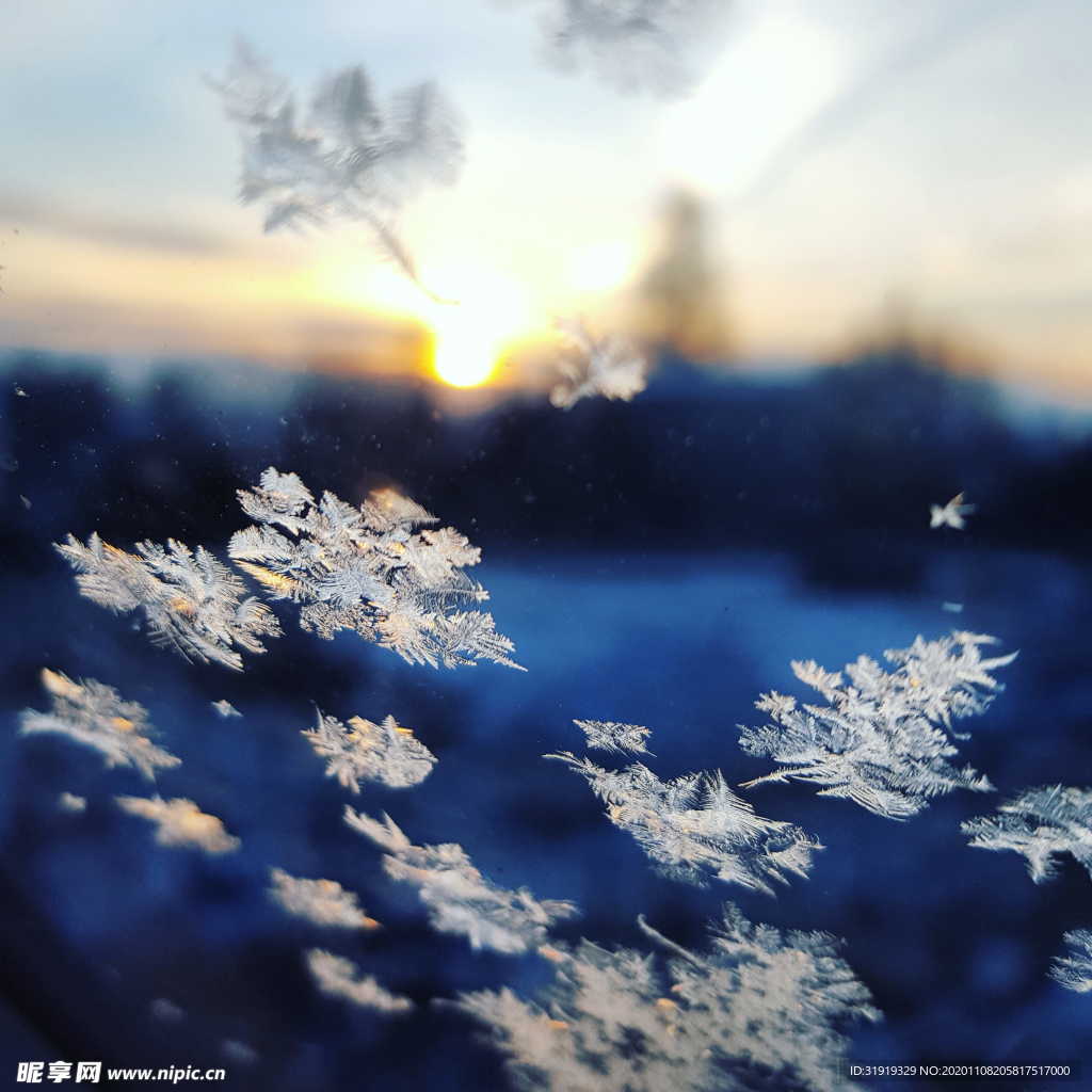 特写 照片 雪花 白色 落下