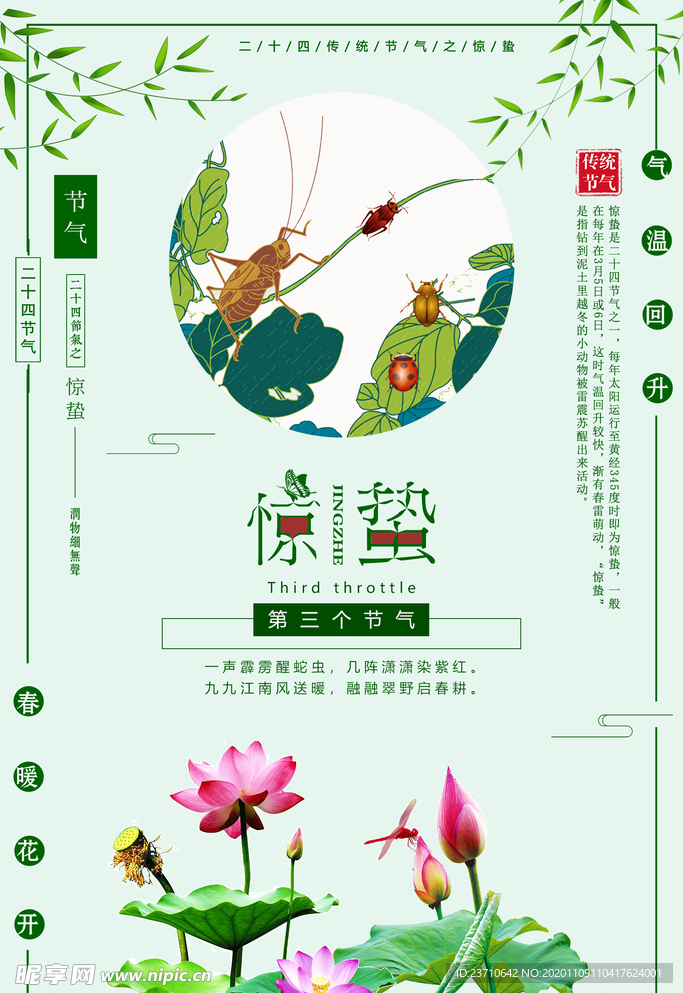惊蛰