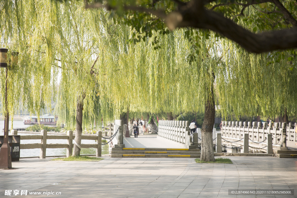 湖畔 风景 名胜 公园 大明湖