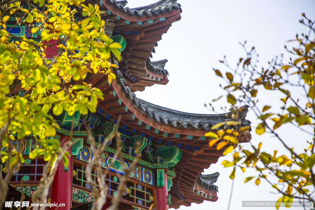 湖畔 风景 名胜 公园 大明湖