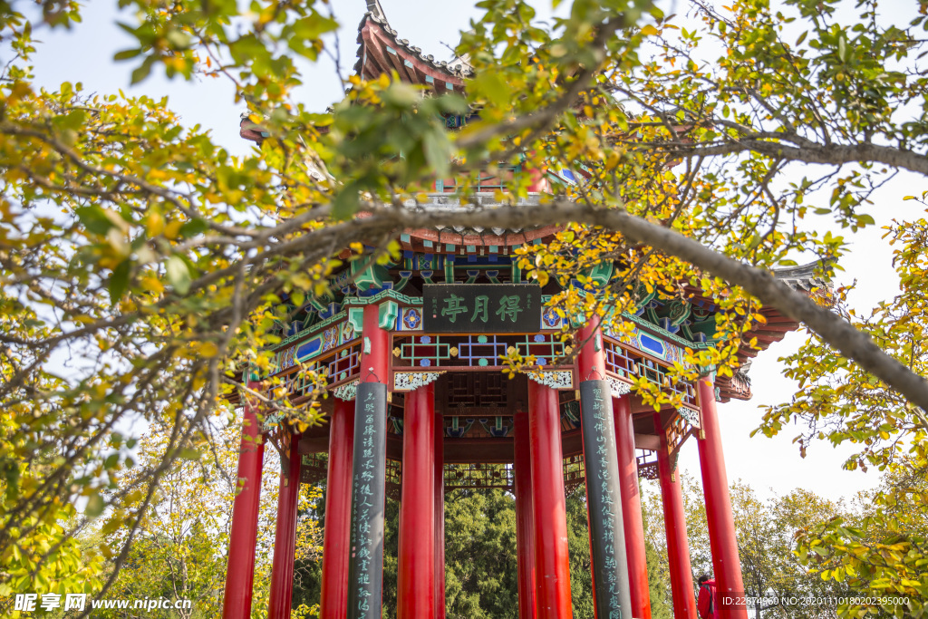 湖畔 风景 名胜 公园 大明湖