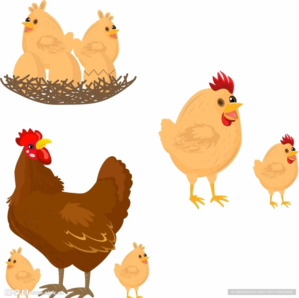 母鸡 矢量