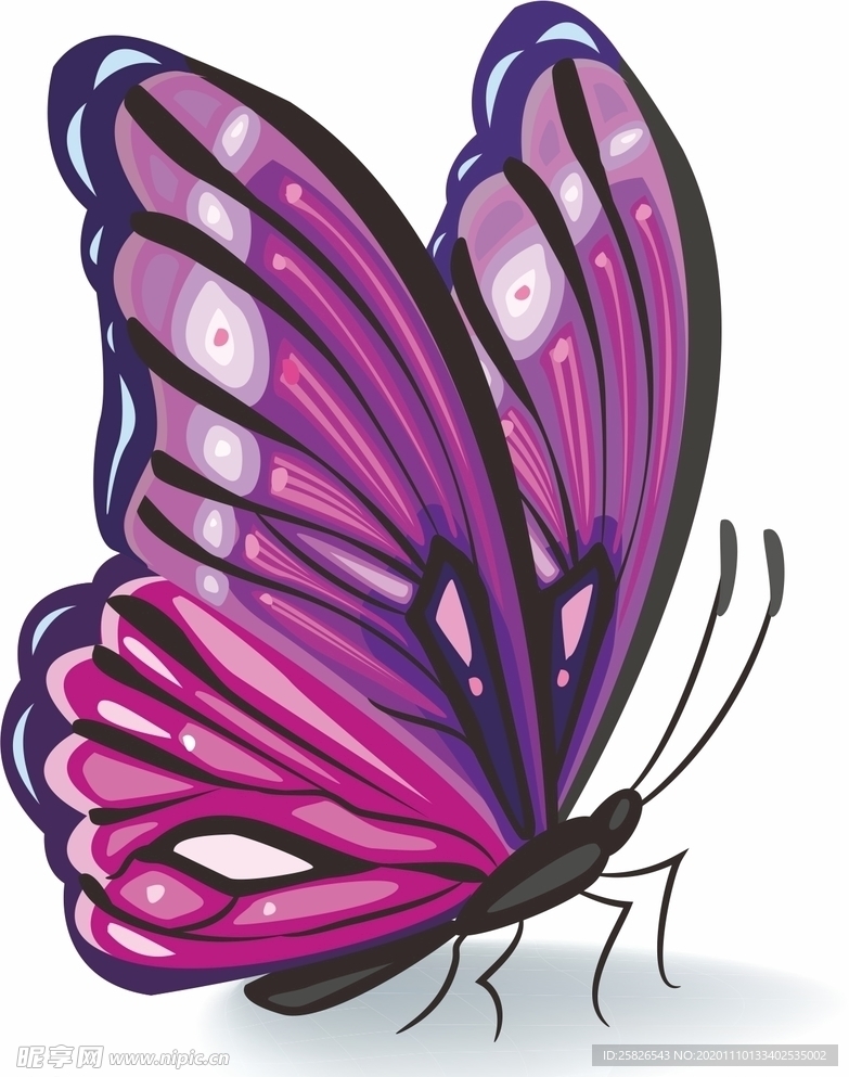 蝴蝶 矢量
